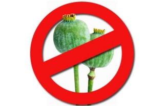 Специальная программа «МАК»