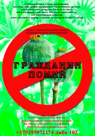 Специальная программа «МАК»