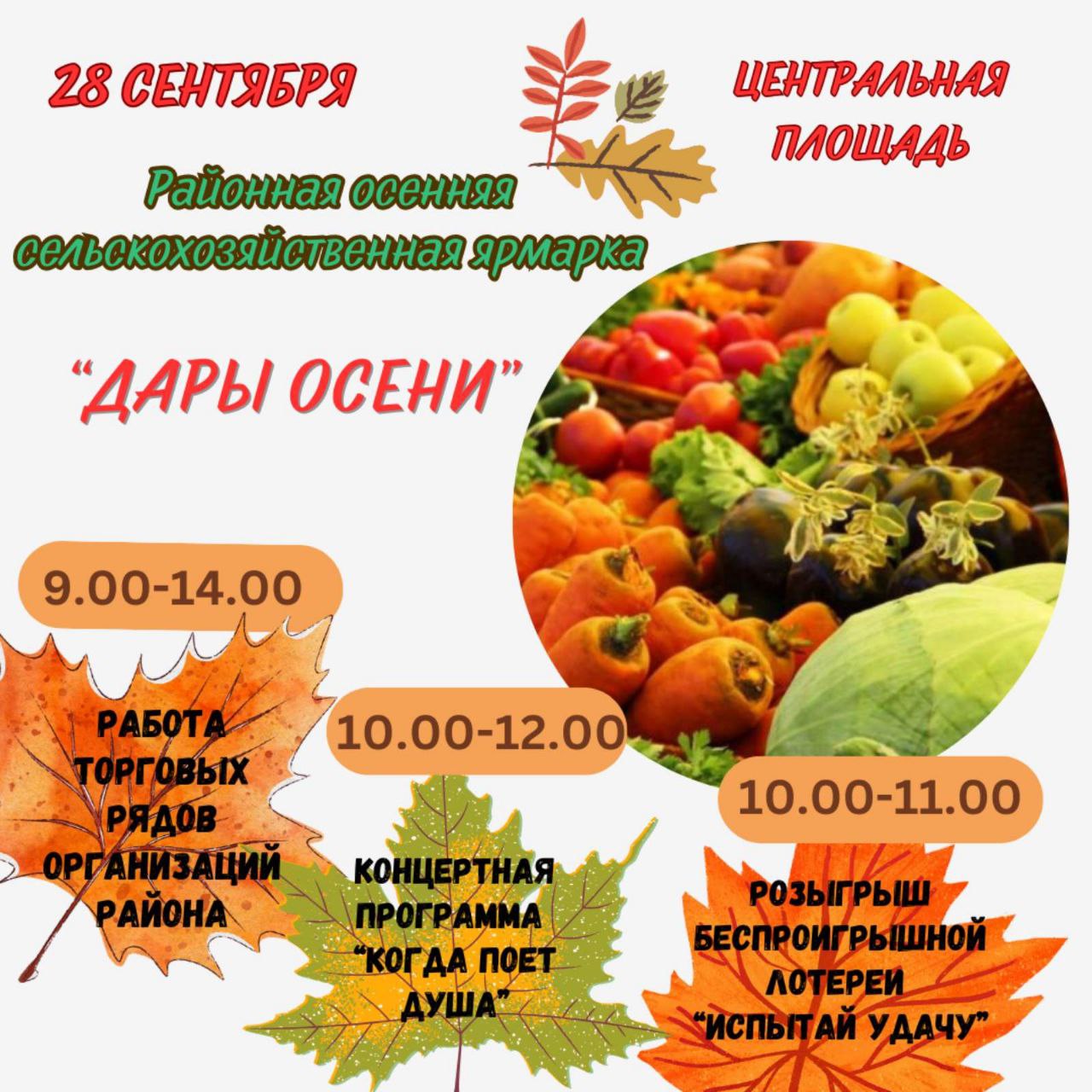 Новости
