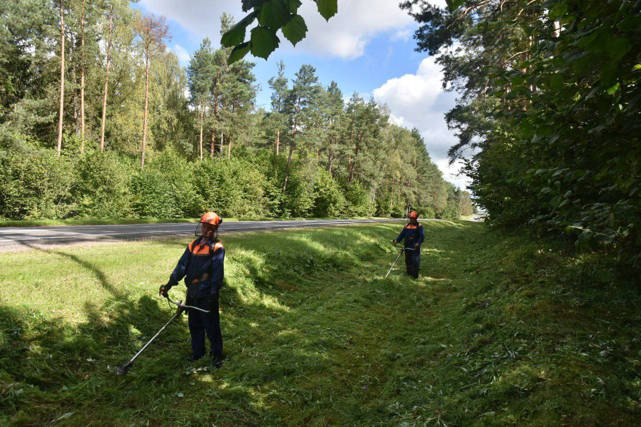 v-glubokskom-rayone-kipit-rabota-po-blagoustroystvu-pridorozhnykh-polos-_4