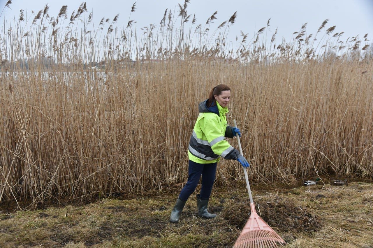 v-glubokskom-rayone-traditsionnyy-vesenniy-subbotnik_7