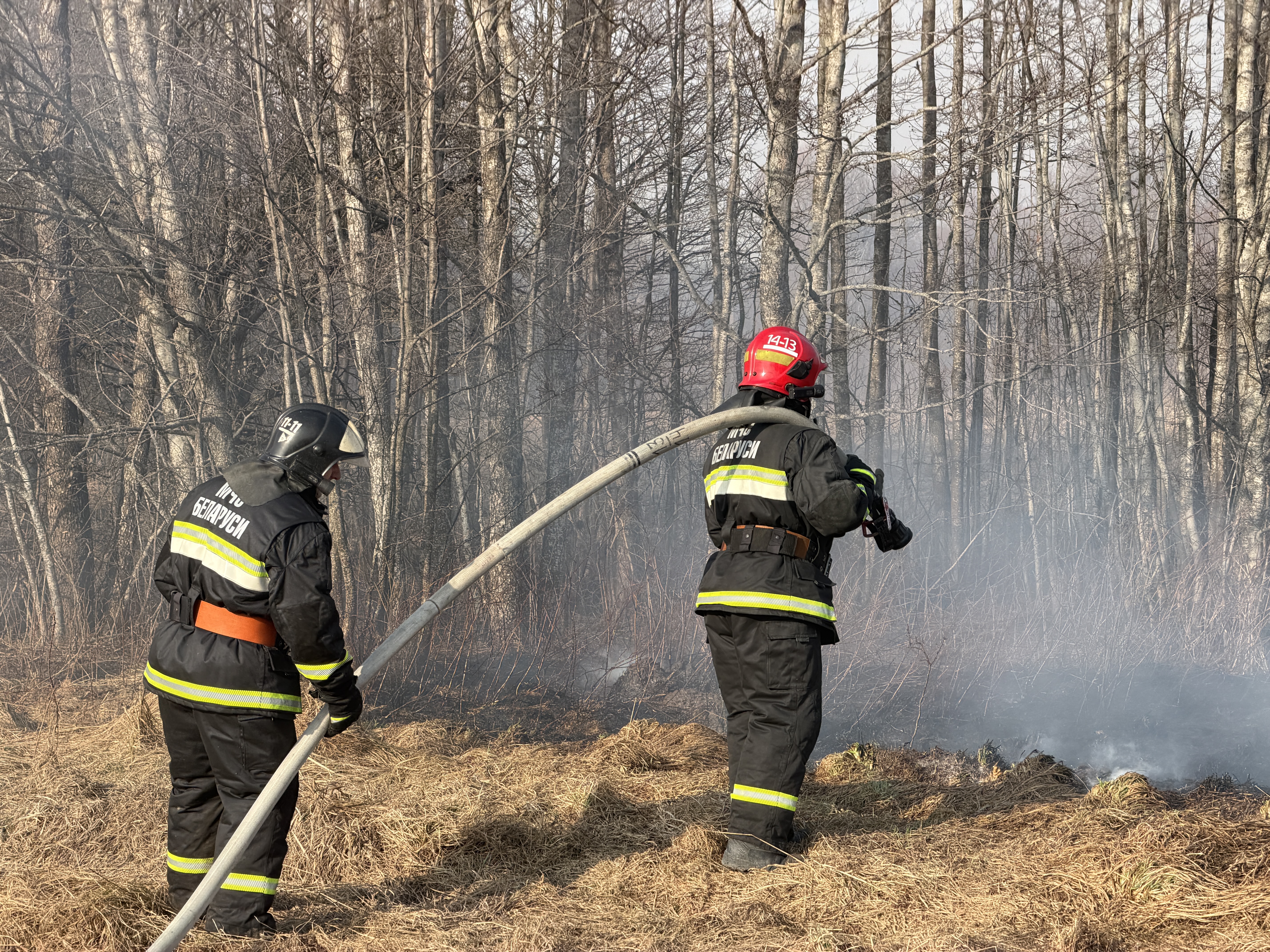 Пал или пропал?