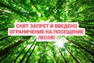 С 29 июня на территории Глубокского опытного лесхоза введено ограничение на посещение лесов