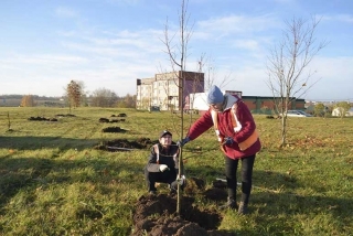 Работники бригады городского благоустройства и озеленения работают сегодня в сквере, который находится между улицами Минской и Юбилейной