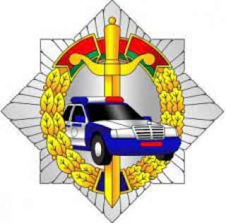 Мотодвижение без нарушений 2023