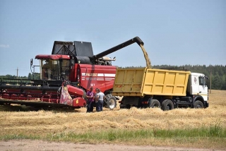 АГРАРИИ СУП «МЕРЕЦКИЕ» ПЕРВЫМИ В РАЙОНЕ ПРИСТУПИЛИ К УБОРКЕ ЗЕРНОВЫХ КУЛЬТУР