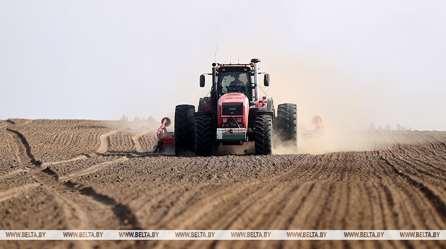 Early spring crops planted on 44,000ha in Belarus